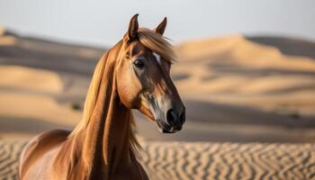 ai generiert majestätisch arabisch Pferd Stehen stolz im das riesig Wüste Landschaft, Pferde Bild foto