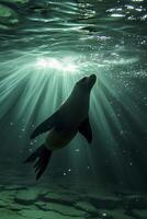 ai generiert Meer Löwe Schwimmen Unterwasser, beleuchtet durch Balken von Sonnenlicht Piercing durch das Oberfläche ai generiert foto