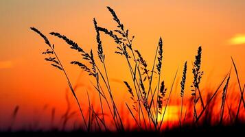 ai generiert Foto von silhouettiert wild Gras gegen beschwingt Sonnenuntergang. das Himmel tief Orange in der Nähe von das Horizont zu Feuerzeug Farbton wie es steigt auf, Anzeige das Sonne Rahmen ai generiert