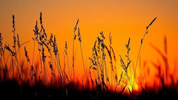 ai generiert Foto von silhouettiert wild Gras gegen beschwingt Sonnenuntergang. das Himmel tief Orange in der Nähe von das Horizont zu Feuerzeug Farbton wie es steigt auf, Anzeige das Sonne Rahmen ai generiert