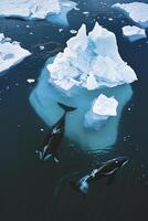 ai generiert heiter und natürlich Umgebung Eigenschaften zwei Wale Schwimmen in der Nähe von Eisberge makellos Blau Wasser ai generiert foto