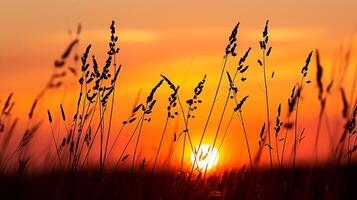 ai generiert Foto von silhouettiert wild Gras gegen beschwingt Sonnenuntergang. das Himmel tief Orange in der Nähe von das Horizont zu Feuerzeug Farbton wie es steigt auf, Anzeige das Sonne Rahmen ai generiert