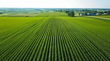 ai generiert oben Antenne Aussicht von Grün Felder und Wiesen, Landschaft mit Linien von Felder, Gras, Bäume, Anzeige gesund Ernte Wachstum. ai generiert foto