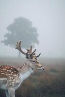 ai generiert Hirsch wild Elch draußen mit Natur Landschaft ai generiert foto