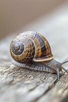 ai generiert Schnecke langsam ziehen um über ein hölzern Oberfläche. ai generiert foto