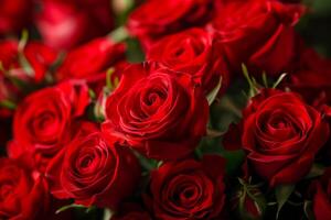 ai generiert schön rot Rose Blütenblätter oben Sicht, voll Rahmen von Rosen Strauß ai generiert foto