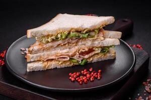 köstlich nahrhaft Sandwich mit Toast brot, Schinken, Tomaten, Käse und Soße foto