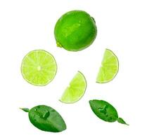 oben Aussicht einstellen von Grün Zitrone Obst und Hälfte mit Scheibe oder Quartal und Blätter isoliert auf Weiß Hintergrund mit Ausschnitt Pfad foto