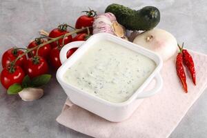 traditionell köstlich Vorspeise griechisch Tzatziki foto