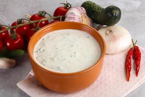 traditionell köstlich Vorspeise griechisch Tzatziki foto