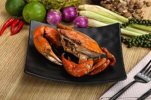 lecker Luxus gedämpft rot Krabbe foto