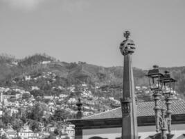 die Insel Madeira foto