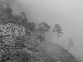 die Insel Madeira foto