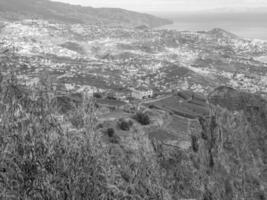 die Insel Madeira foto