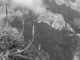 die Insel Madeira foto