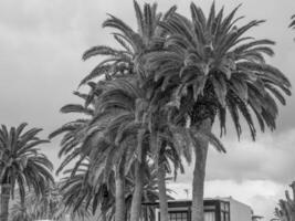 Insel Lanzarote in Spanien foto