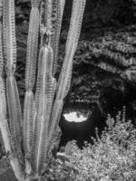 Insel Lanzarote in Spanien foto