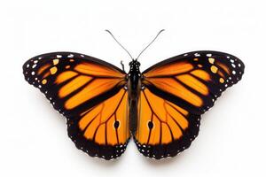 ai generiert Monarch Schmetterling auf Weiß Hintergrund foto