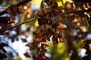 ai generiert Monarch Schmetterlinge Startseite Baum während Migration zu Mexiko foto