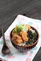 Tori kaarage japanisch Reis Schüssel foto