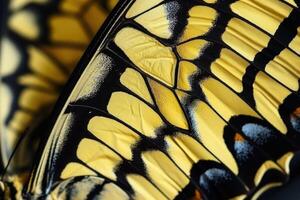 ai generiert Schmetterling Flügel Einzelheiten Gelb Schwalbenschwanz Papilio machaon Zusammenfassung foto