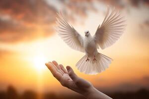 ai generiert beten Hände und Weiß Taube symbolisieren hoffen und Freiheit foto