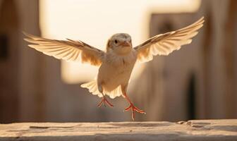 ai generiert ein Vogel fliegend entlang ein städtisch Straße, beleuchtet durch warm Sonnenlicht foto