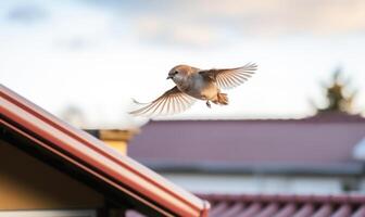 ai generiert ein Spatz fliegt im das Luft auf ein Hintergrund von Gebäude. foto