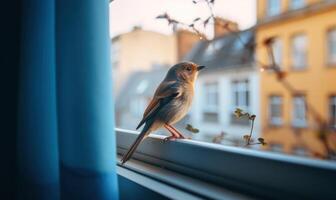 ai generiert ein wenig Vogel sitzt auf das Fensterbrett und sieht aus aus das Fenster foto