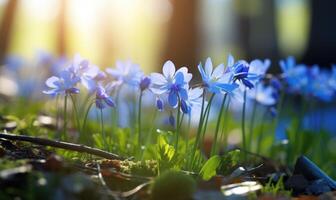 ai generiert Frühling Schneeglöckchen Blumen. schön Natur Szene mit Blühen Wald Blumen. foto