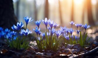 ai generiert Blau Krokus Blumen im das Wald. früh Frühling. Natur Hintergrund foto