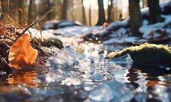 ai generiert gefallen Blätter im das Eis auf das Fluss im das Winter Wald foto