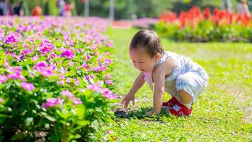 Babys zuerst Garten Abenteuer inmitten Rosa Bougainvillea. neugierig Kleinkind erreicht aus zu berühren das Erde, erleben das Texturen und Farben von ein beschwingt Blume Garten. asiatisch Kind alt 1 Jahr alt. foto