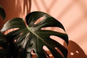 ai generiert Grün Blätter von ein Monstera Pflanze Schatten ein Pfirsich farbig Mauer foto