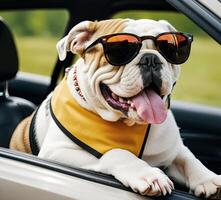 ai generiert komisch Französisch Bulldogge mit Sonnenbrille. generativ ai foto