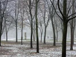 Nebel im ein Stadt Park. traurig Herbst Landschaft. Nebel meint ein Veränderung im Wetter. foto