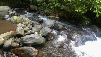 schön klein Strom im das Mitte von Indonesien Regenwald foto