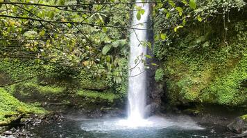 schön Wasserfall, genannt Curug Säger im das Mitte von Indonesien Regenwald, asiatisch Wald versteckt Juwel foto