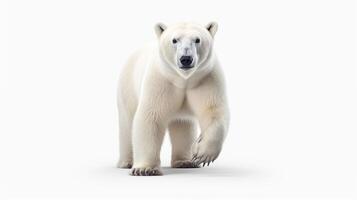 ai generiert Polar- Bär hoch Qualität Bild foto