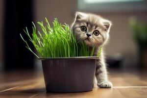 ai generiert klein Kätzchen und ein Topf von frisch Gras. Katze Essen Gras, natürlich Haarballen Behandlung. ai generiert. foto