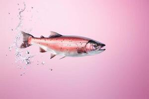 ai generiert Lachs Fisch und Wasser spritzt isoliert auf Rosa Hintergrund. ai generiert. foto