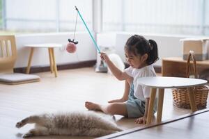 asiatisch Baby Kind Mädchen spielen mit persisch Katze Lügen auf das Fußboden beim heim, gemischt Rasse Katze ist ein Kreuz zwischen Rassen oder ein reinrassig Katze und ein inländisch Katze. Tier Katzen Konzept. foto