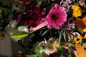 immer noch Leben. Luxus Frühling Blumen auf ein schwarz Hintergrund. Farbe blühen. niedrig Schlüssel Foto