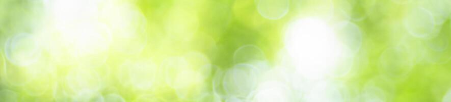 abstrakt Natur Licht von Grün Blatt im Garten mit wie Hintergrund Startseite Seite foto