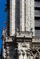 das tolle Wasserspeier von notre Dame de Paris im Frankreich. ein gotisch Gebäude gebaut während mittelalterlich mal, ist Zuhause zu ein Nummer von Skulpturen, einschließlich viele Wasserspeier. foto