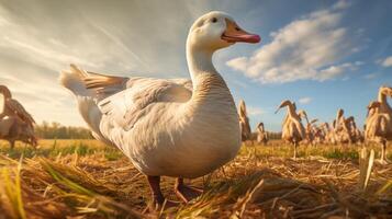 ai generiert Gans hoch Qualität Bild foto