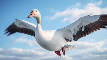 ai generiert Gans hoch Qualität Bild foto