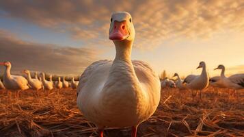 ai generiert Gans hoch Qualität Bild foto