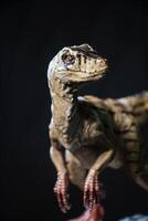 Velociraptor Dinosaurier im das dunkel foto