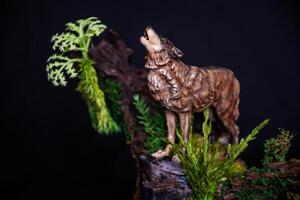 Berg iberisch Wolf im das dunkel foto
